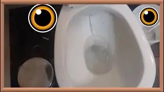 ✅ Mi inodoro pierde agua por dentro