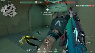 Can you guess the rank? Valorant Rankdle 