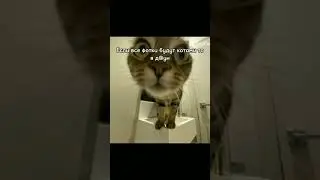 Шаблон не мой 