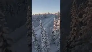19 января 2024 г.