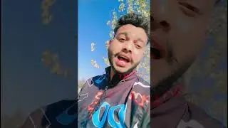 शेर तो अकेला ही दहाड़ ता है
