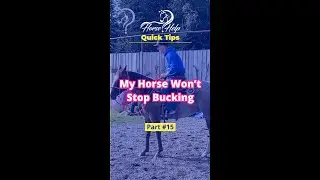 Help! My Horse Won't Stop Bucking! Part 15 | The Horse Guru - Michael Gascon