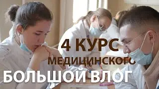 7/12 Большой влог из медицинского. ЮУГМУ