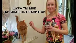 Томас Адамян