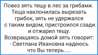 К@кс Тещи с Зятем в Лесу и Позор с Маленьким Хр@ном!!! Смешная Подборка Анекдотов!!!