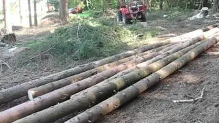 Allradschlepper AGT 4004   zieht locker 7 Stämme