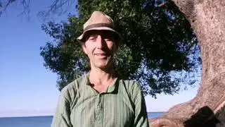 ОСЕННЕЕ ПУТЕШЕСТВИЕ ВГЛУБЬ СЕБЯ