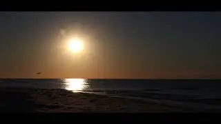 Navarre Beach, Florida U.S.A. and my Canon M50 MK I DSLR Camera.