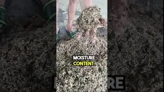 How to make aerobic bokashi #shorts #theagrillenial #organicfarming #organicfertilizer