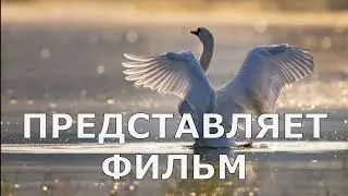 3 серия. Яхта "Аккош"