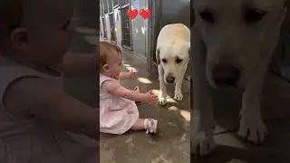Muy tierno,esta imagen tocará tu corazón