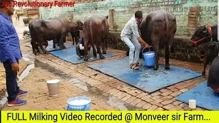 FULL Milking Video -Recorded @ Monveer Sir farm.@ Rohtak Haryana👍.