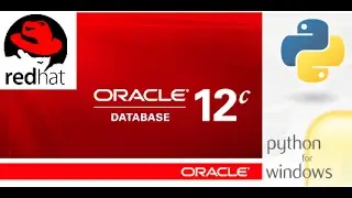 How to connect to Oracle database using Python in Windows.