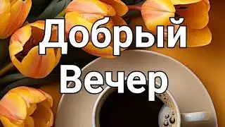 Добрый Вечер