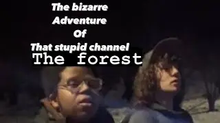 The forest