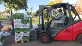 Eikels rapen in Staphorst uitgegroeid tot dorpstraditie