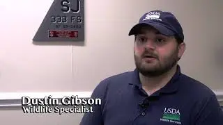 Seymour Johnson's USDA Team (2019) 🇺🇸
