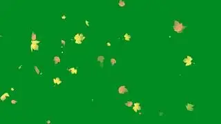 green screen wedding 5 || Free Best Green Screen Effects