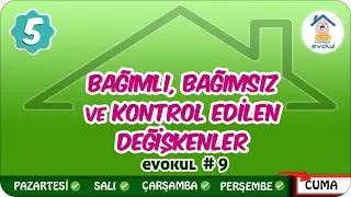 Bağımlı, Bağımsız ve Kontrol Edilen Değişkenler | 5.Sınıf 