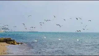 Моя Евпатория.  1 марта 2019г.  Автор  - Леннар Апазов