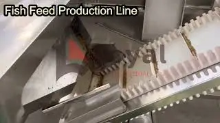 Fish feed production line|sinking fish feed machine|Floating fish feed machine