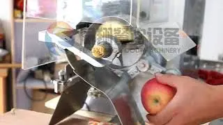 FXP 22 Apple peeling and core removing machine
