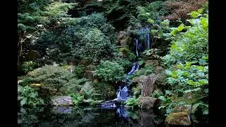 Zen Garden ASMR Soundscape