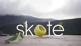 Skate. UE4.23 Path-Tracing and Cinema 4D Datasmith integration
