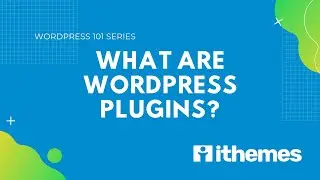 What are WordPress Plugins?
