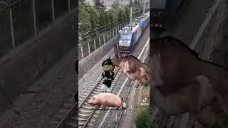 я вахуи