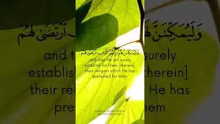 Suran An Noor, ayah 55