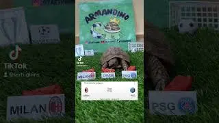 🔴MILAN VS PSG🔵 #milan #psg #calcio #turtle #championsleague #highlights #leão #mbappe