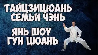 Спрятанная рука и кулак из под локтя.  Тайцзицюань семьи Чэнь