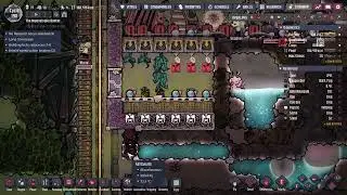 Oxygen Not included - Cycle 190 - Trying to send Chlorine for Dasha Saltvine [No Commentary]