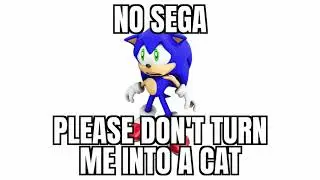 no sega please don't turn me into a cat