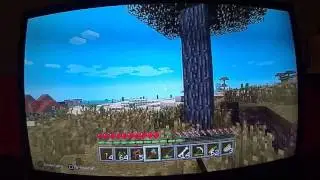MINECRAFT #5 SURVIE PS3