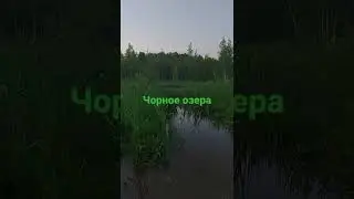 чорное озара Зеленоград