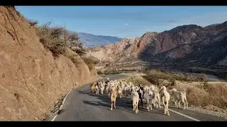 PERÚ 2022 Trailer