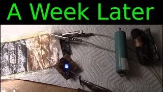 Li-Ion salts cells - a week later