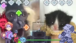 Fnf week 6 Thorns but its Bruh Monkeu VS Towel Cat! (Friday Night Funkin' Custom Week Edit)
