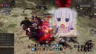 feeding dz nootz
