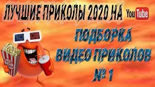 Приколы 2020 лучшие. Подборка видео приколов №1