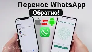 Как перенести Whatsapp c Android на iPhone и обратно через iCareFone for WhatsApp [В 2022 году]