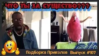Лучшие приколы 2019 Март | Свежие приколы | ПО ПРИКОЛУ#107😂 | Подборка приколов