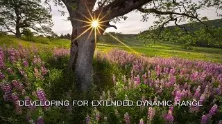Developing For Extended Dynamic Range: An Introduction