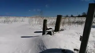 Готовлю точёк для выставки пчёл. 2021