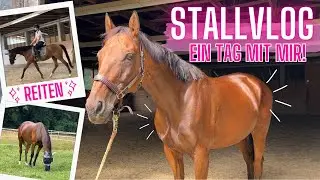 EIN STALLTAG MIT MIR 🐴