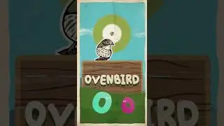 Bird Alphabet for Kids - Birds that Start with O