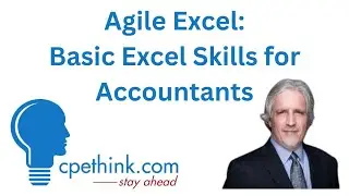 Basic Excel Skills for Accountants | CPE for CPAs on Cpethink.com