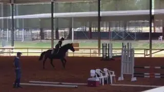 george Morris Clinic: "Be a horse trainer"